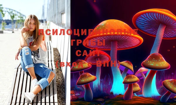 твердый Армянск