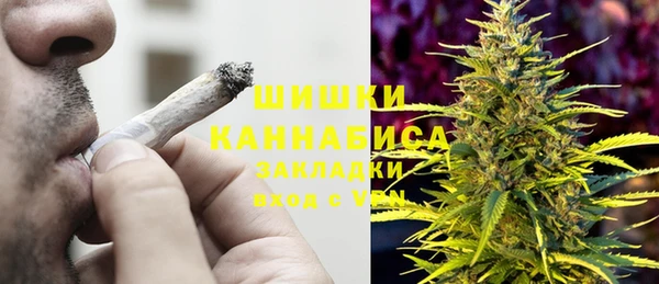 гидра Аркадак