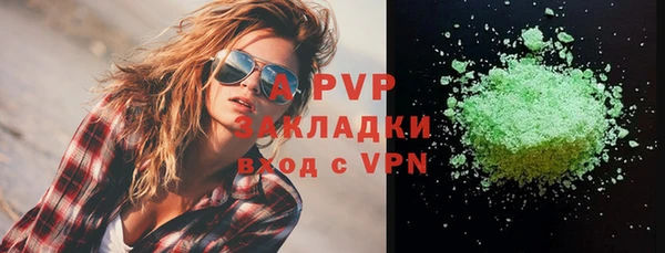 гидра Аркадак
