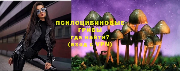гидра Аркадак