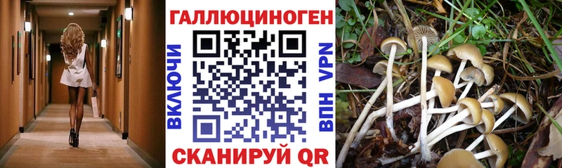 Галлюциногенные грибы ЛСД  Купить где  Балей 